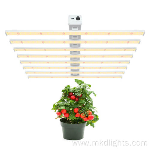 Best Cheap Grow Lights For House Plants